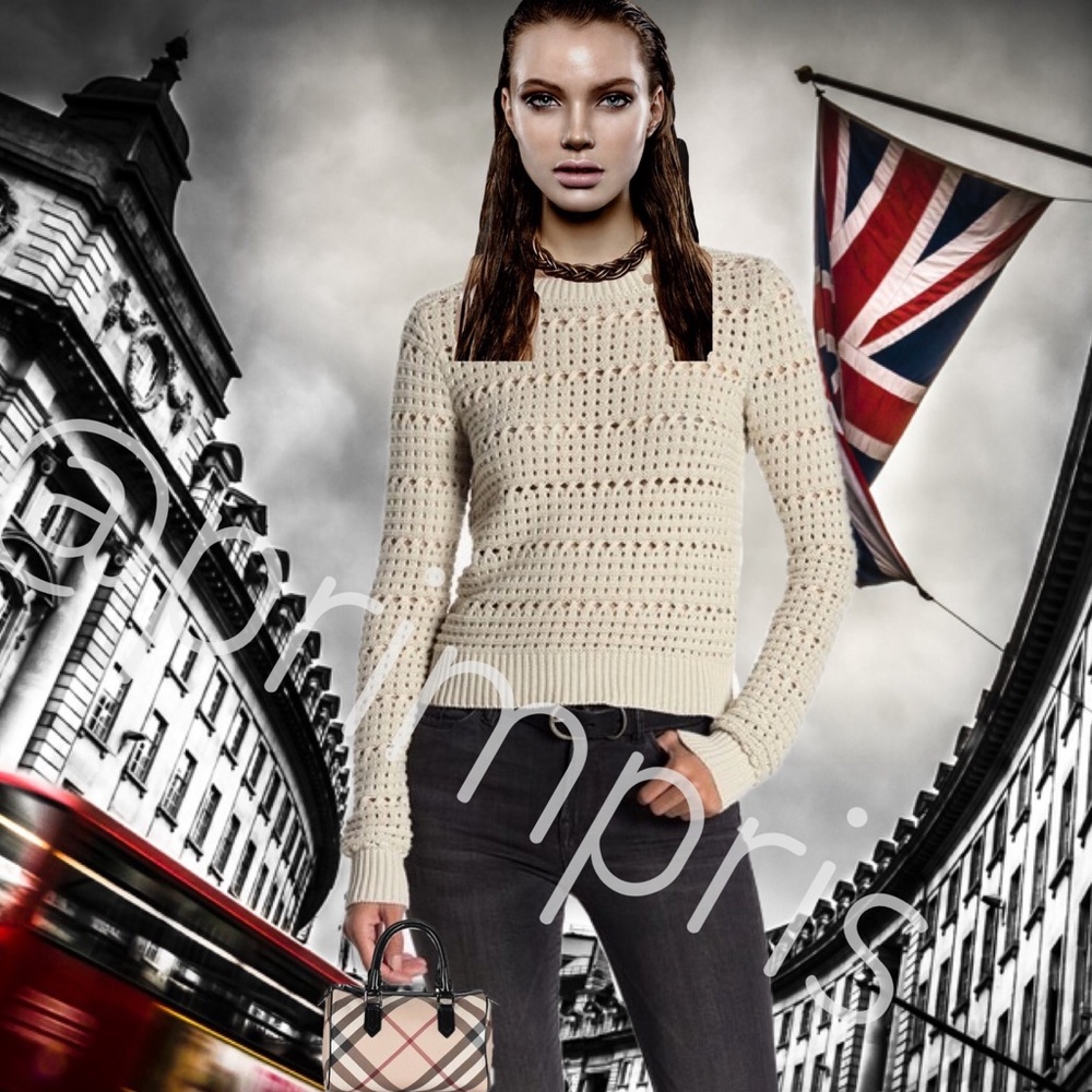 AllSaints Lota Cropped Sweater NWT